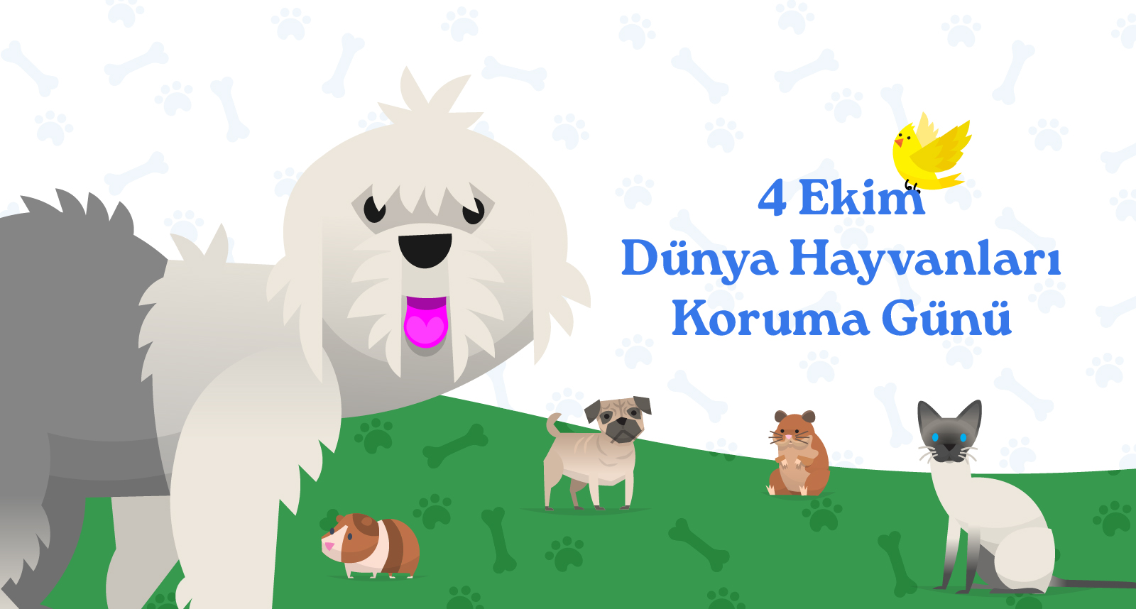 Tüketiciler 4 Ekim Dünya Hayvanları Koruma Günü İletişiminde Markalardan Ne Bekliyor?