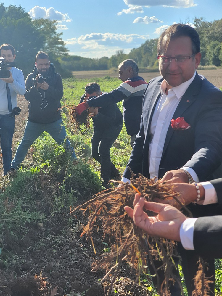 Edirne Kırmızısı'nın eşsiz rengi Kiğılı ile hasat günü şenliğinde yeniden hayat buldu