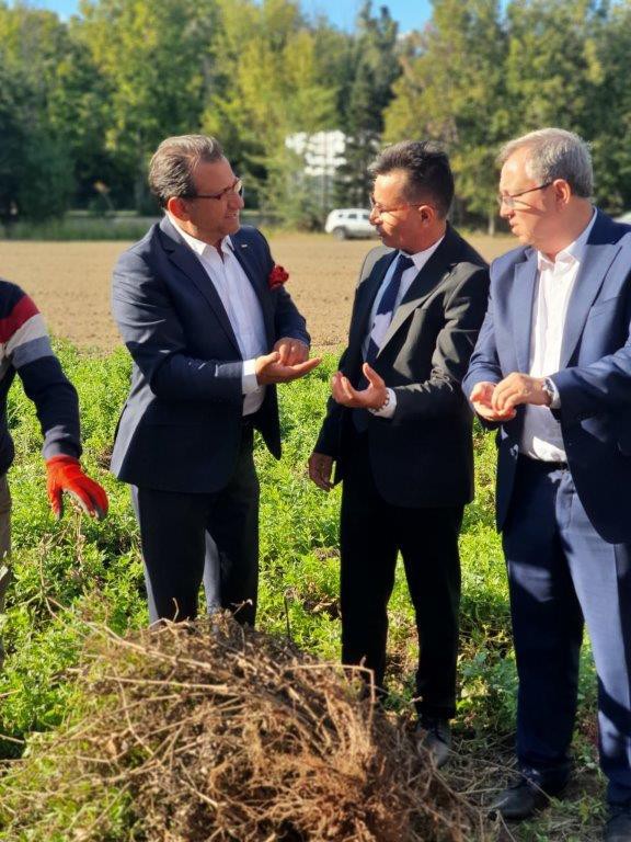 Edirne Kırmızısı'nın eşsiz rengi Kiğılı ile hasat günü şenliğinde yeniden hayat buldu