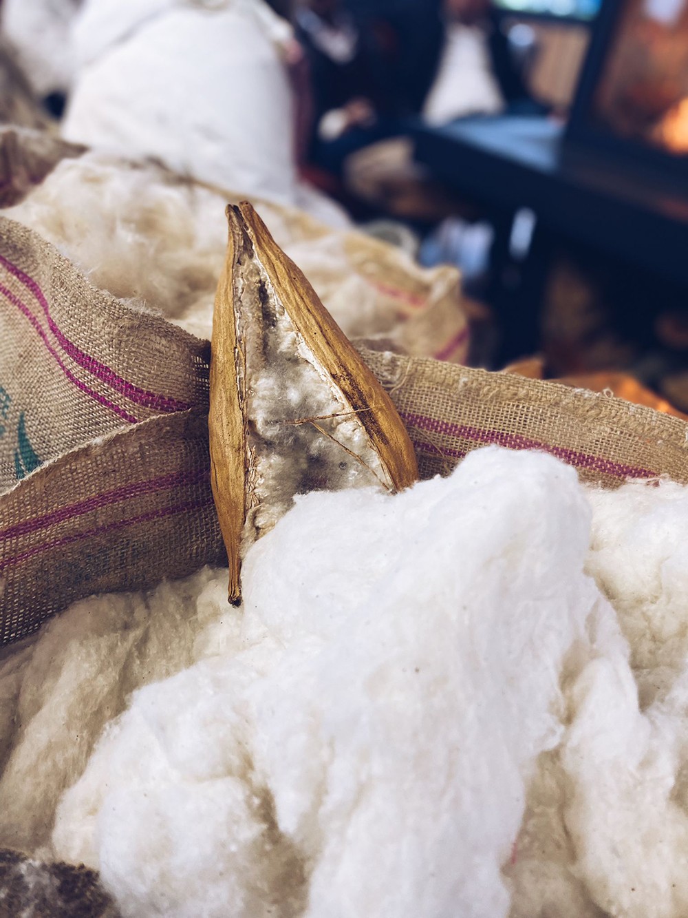 Bambi Yatak - Kapok Nature Yatak özelinde basın lansmanı gerçekleştirildi